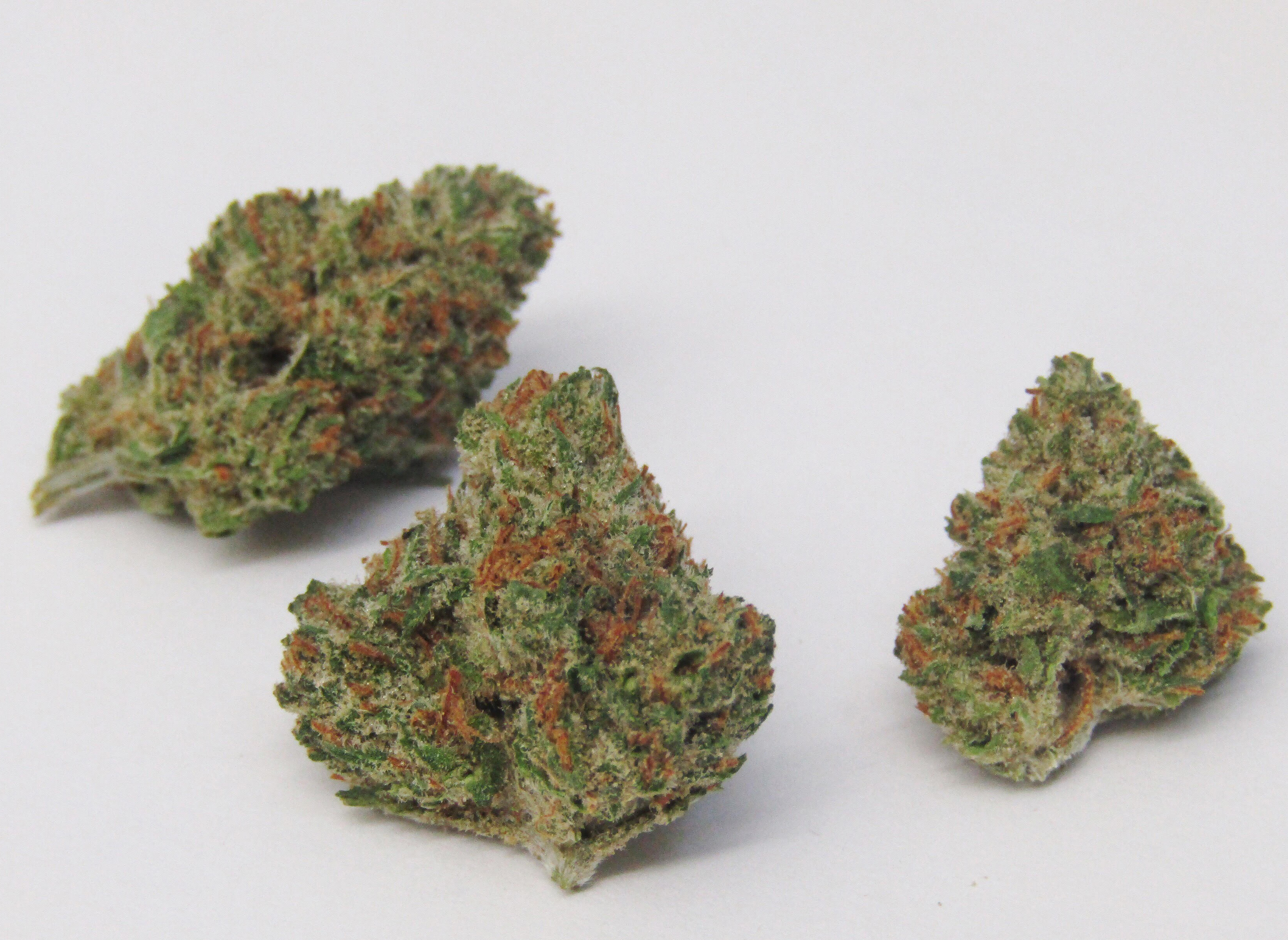 Rise and Shine: Energize with the Best Sativa Weed Strains